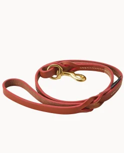 Dog Leash